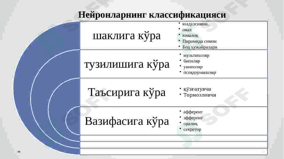 Nerv sistemasining fiziologiyasi va gigiyenasi. 7