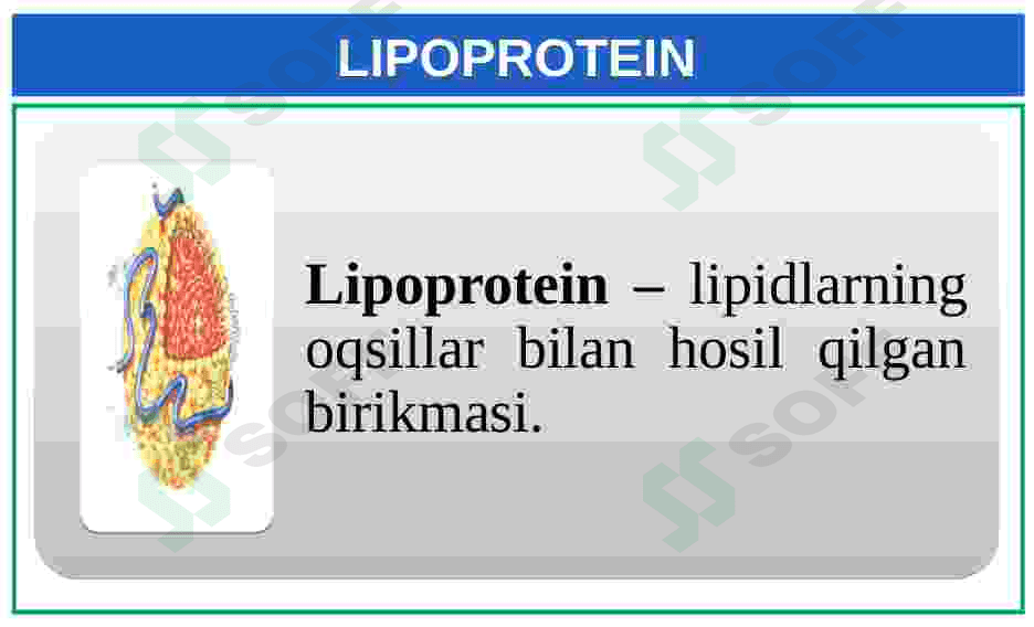 Lipidlarning tuzilishi, funksiyalari 7