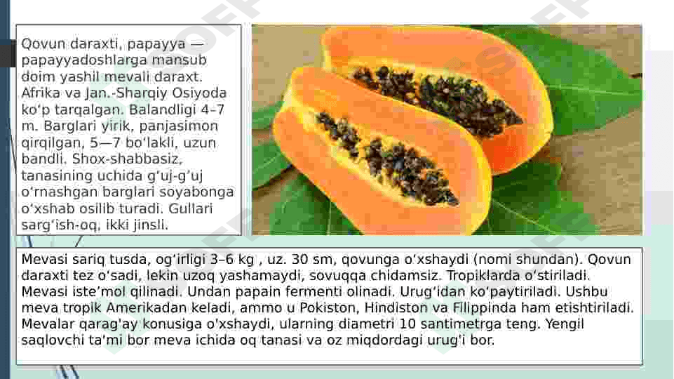 Tropikda tarqalgan oziq ovqat oʻsimliklari 7