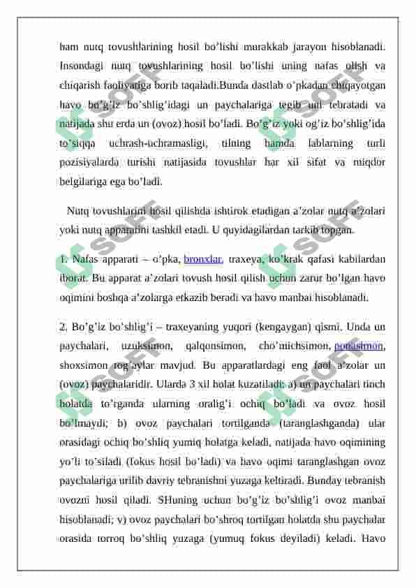 Nutq apparati haqida umumiy tushuncha 7