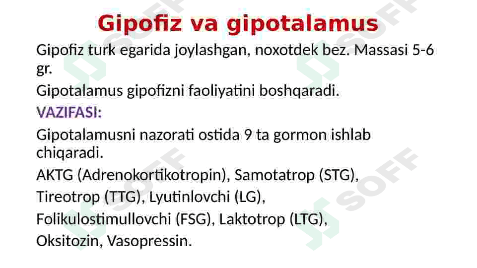 Endokrin sistemasi 7