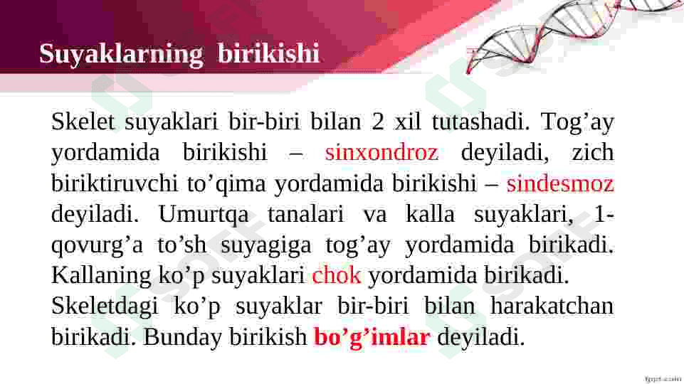 Tayanch va harakatlanish organlari. 7
