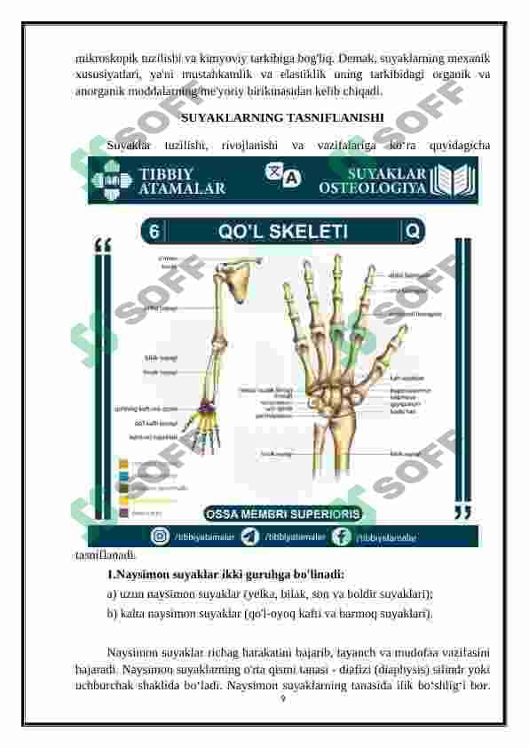 OSTEOLOGIYA - SUYAKLAR HAQIDA TA'LIMOT 8