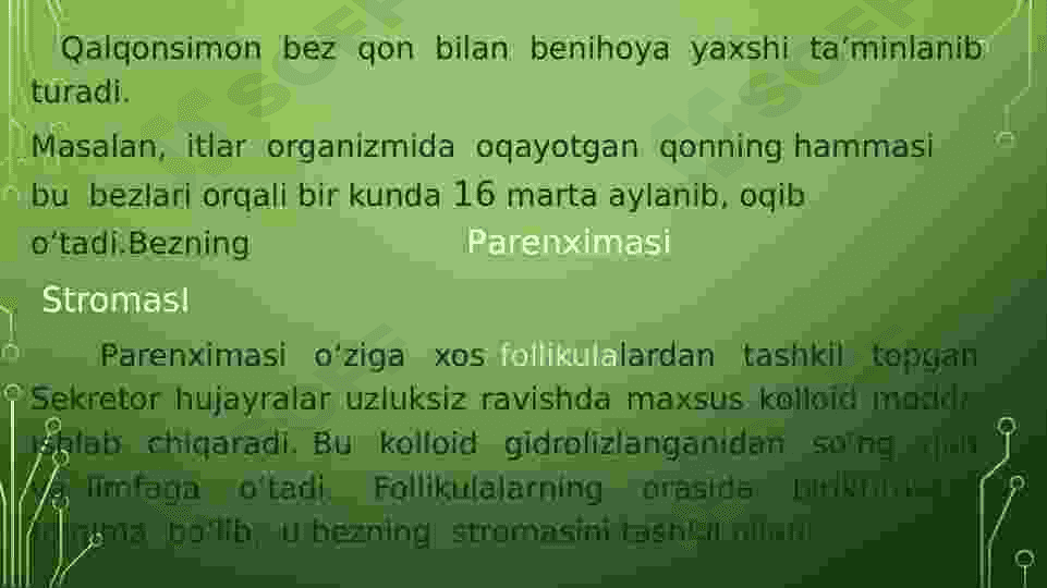 Endokrin fiziologiyasi 8