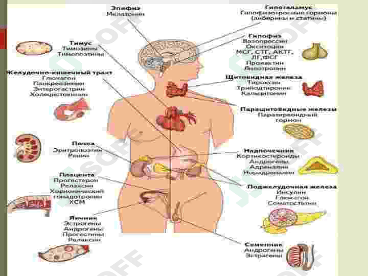 ENDOKRIN SISTEMASINING PATOFIZIOLOGIYASI 8