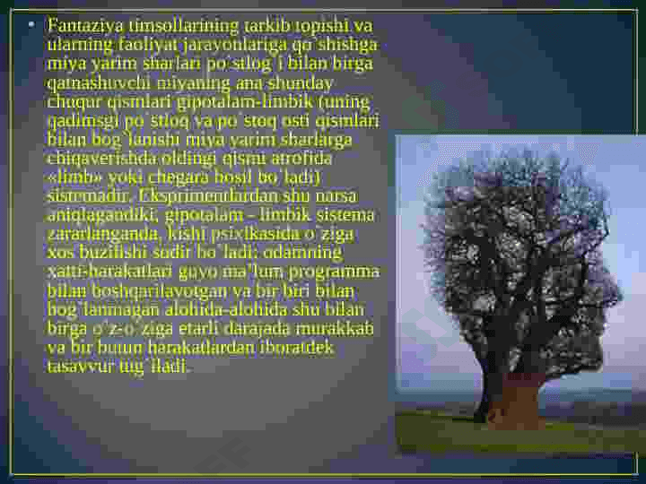 xayol haqida tushuncha 8