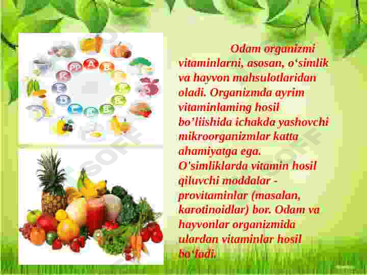 Vitaminlar va ularning ahamiyati 8