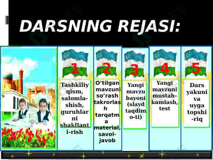 Bosh miyaning tuzilishi va funksiyasi 8