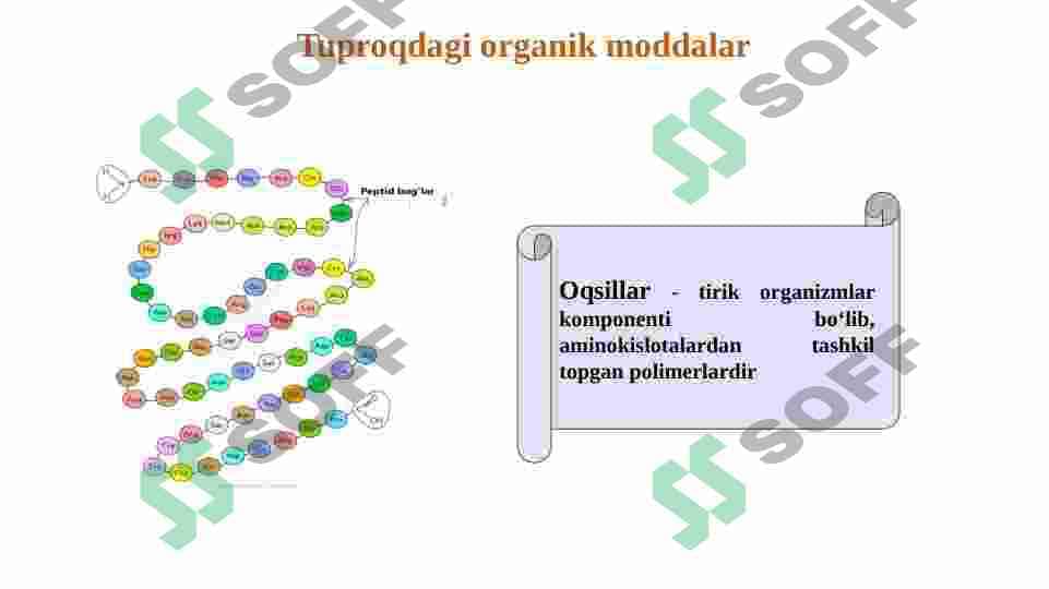 Tuproqdagi organik moddalar 8