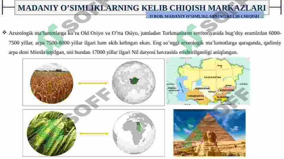 MADANIY O’SIMLIKLARNING KELIB CHIQISHI 8