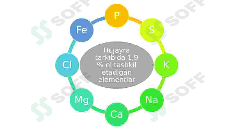 Hujayraning kimyoviy tarkibi 8