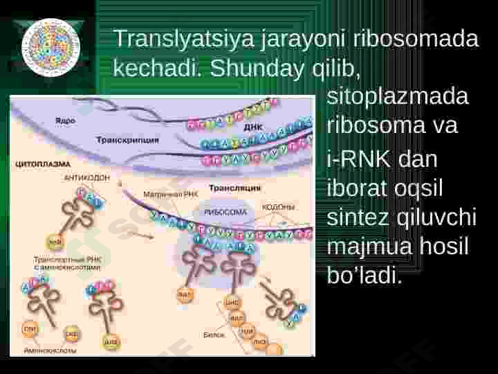 Plastik almashinuv. Oqsillar biosintezi. Genetik kod. 8