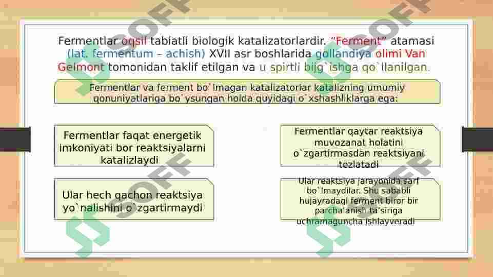 FERMENTATIV KATALIZ 8