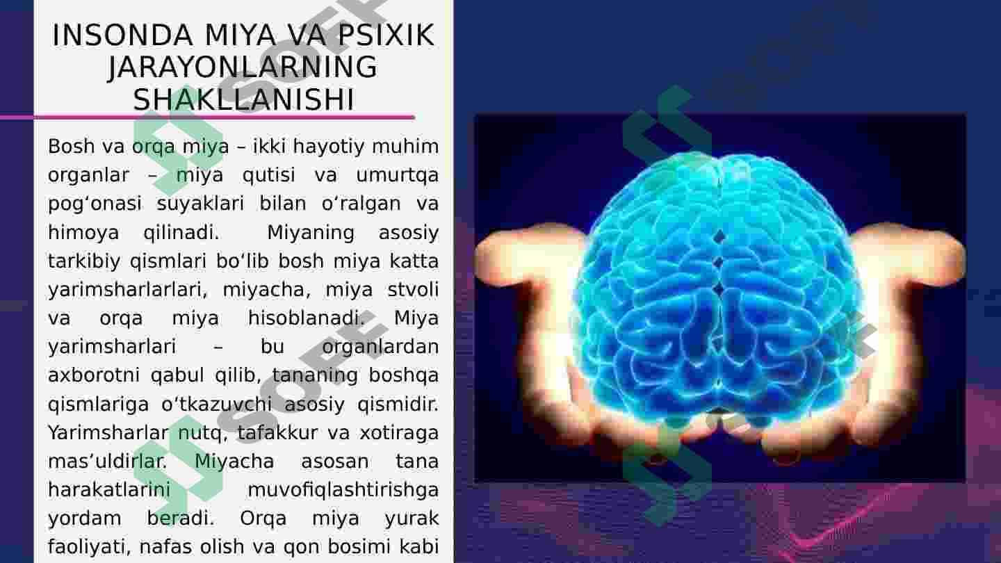 Miya va psixikaning o’zaro munosabat muammolari 8