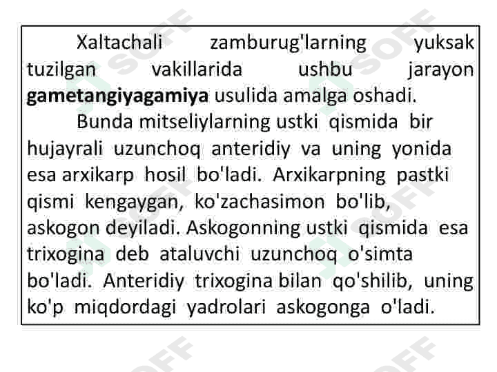 Askomisetsimonlar 8
