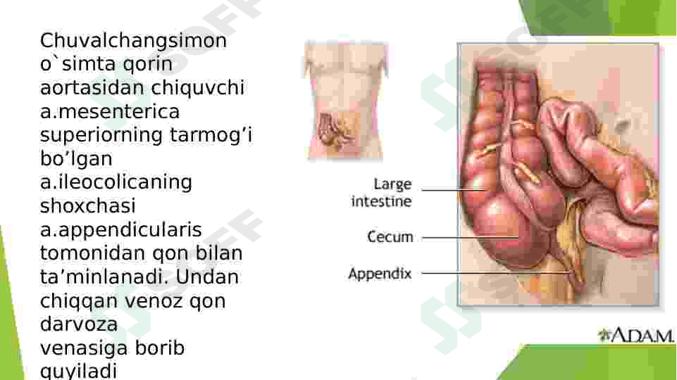 Oʻtkir apendisitni klinikasi 8