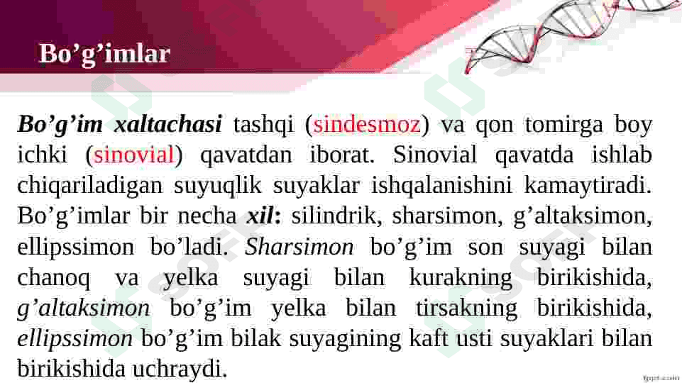 Tayanch va harakatlanish organlari. 8