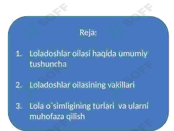 Loladoshlar oilasi 8