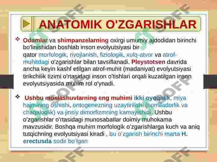 ODAM EVOLYUTSIYASI-DASTLABKI ODAMLAR 8