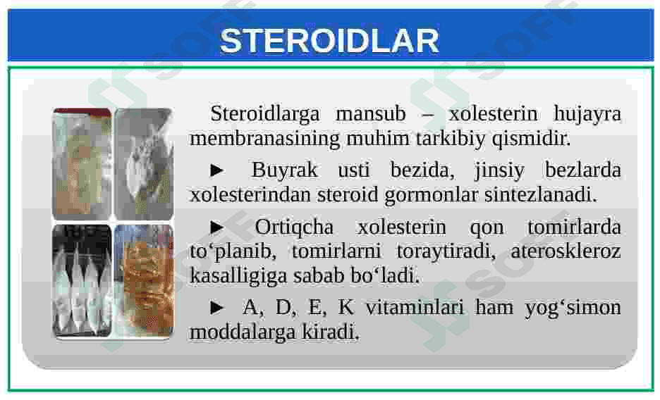 Lipidlarning tuzilishi, funksiyalari 8