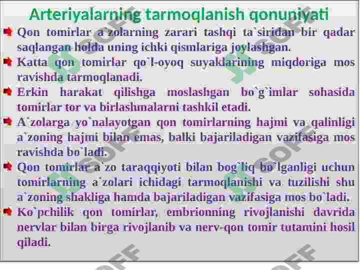 Tomirlar tizimi tuzulishi 8