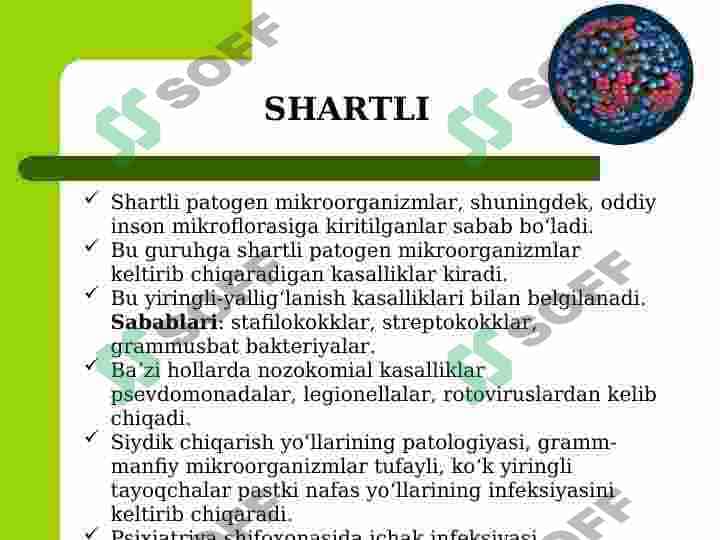SHIFOXONA ICHI INFEKSIYASI 8