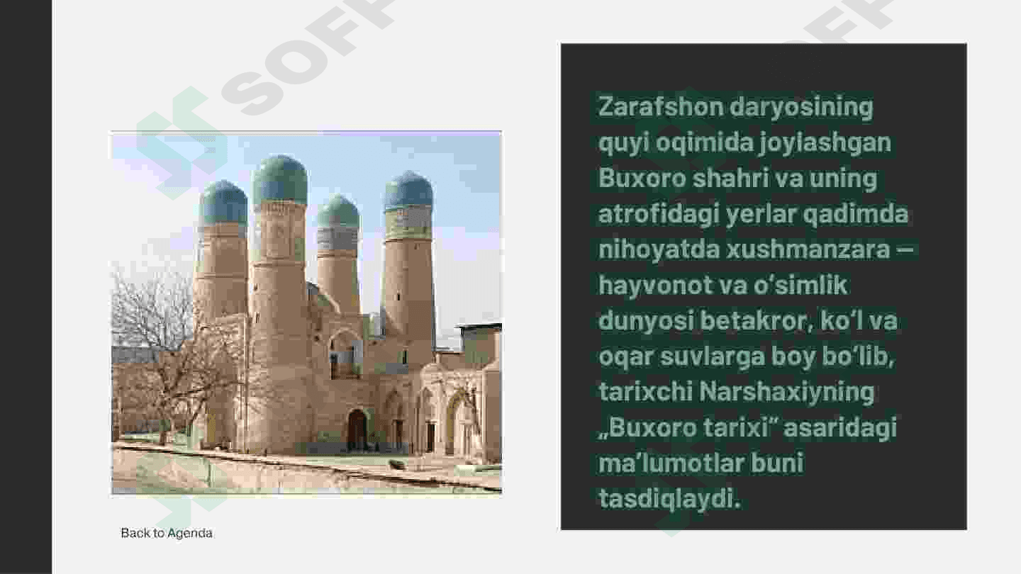 Mintaqaviy iqtisodiyot 8