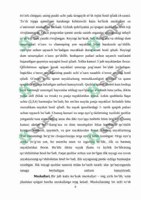Qushlarning uchishga moslanish belgilari , uchish xillari 8