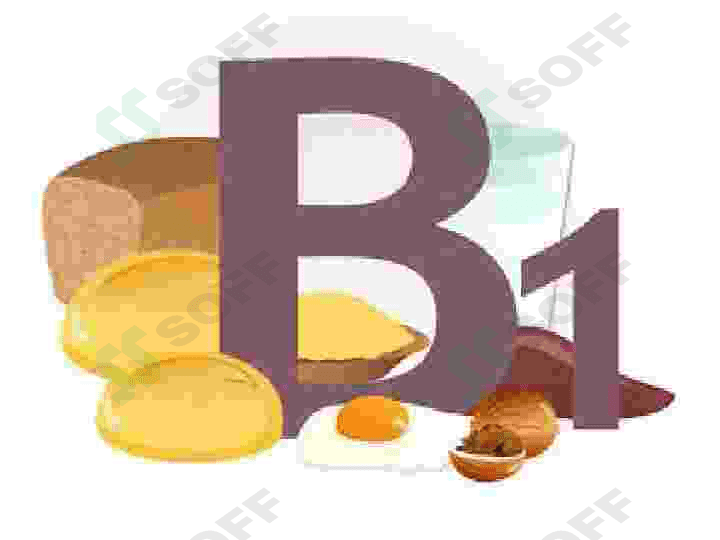Organizmning vitaminlar bilan ta’minlanganligini oʻrganish 8