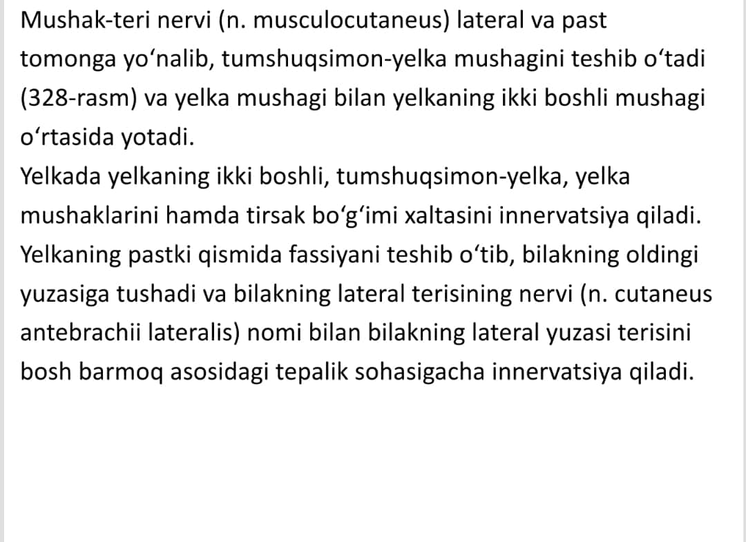 Yelka chigali uzun tarmoqlar va qo'l terisi inervatsiyasi 1