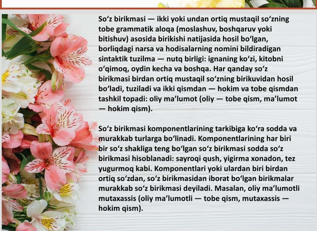 So’z birikmasi va gap ustida ishlash 1
