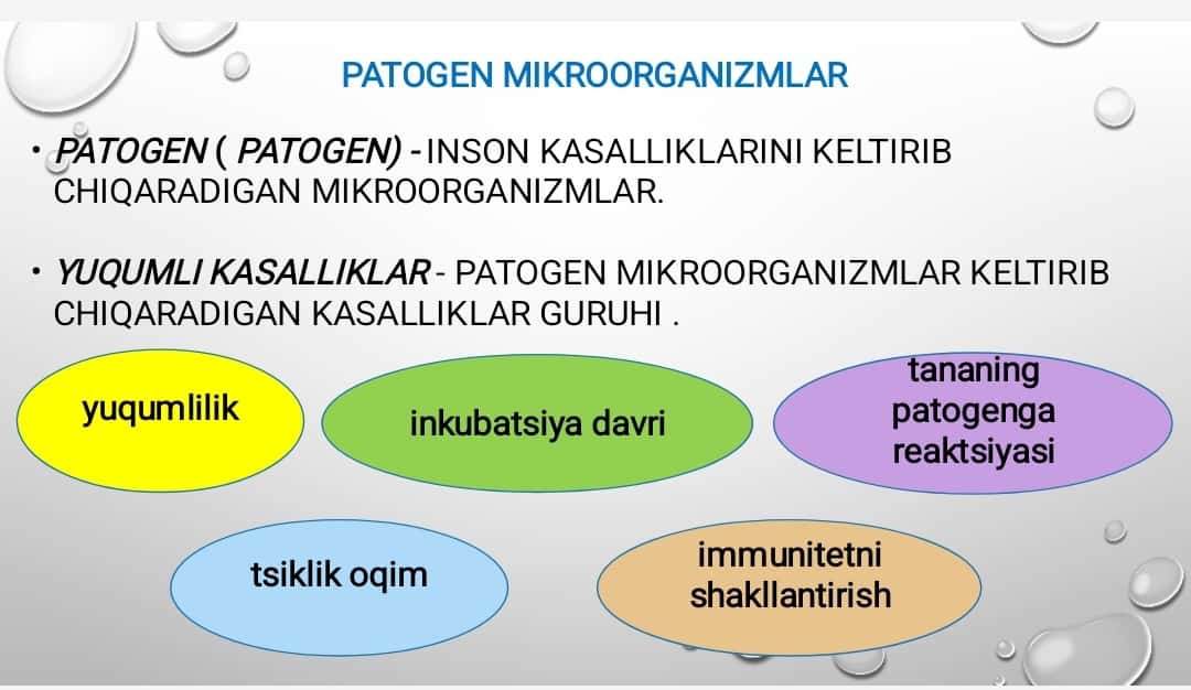 Ichakning yuqumli kasalliklari, zoonozlar, gelmintozlar va ularning oldini olish 1