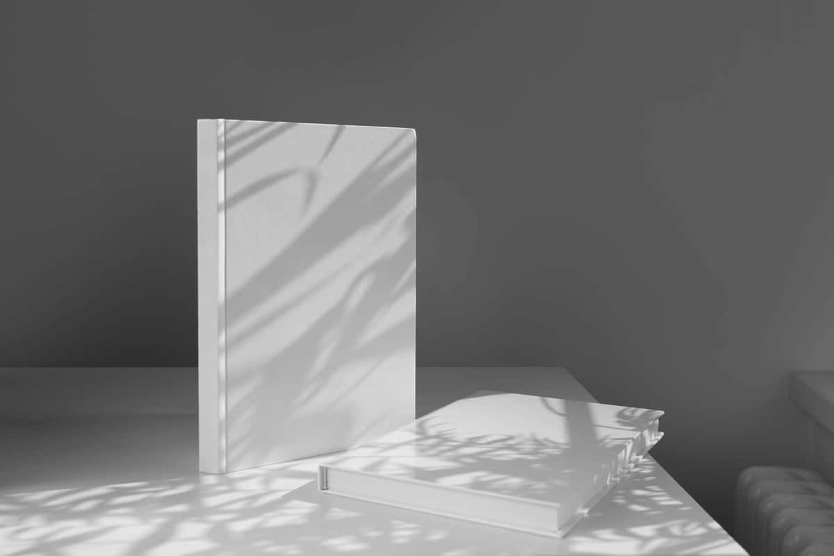 Yorug'lik soyalari bilan kitob maketi | Book mockup with lights shadows 1