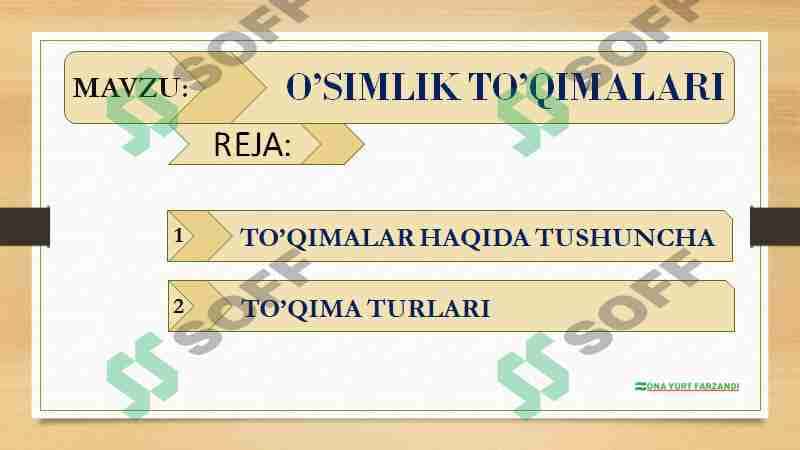 O’SIMLIK TO’QIMALARI 2