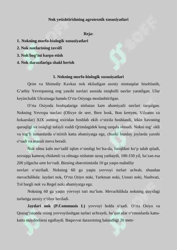 Nok yetishtirishning agrotexnik xususiyatlari