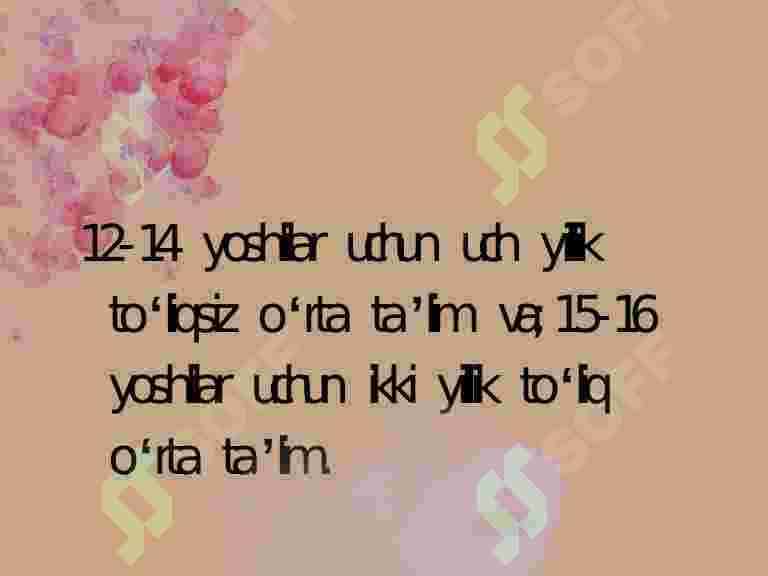 Malayziya davlati ta'lim tizimi 4