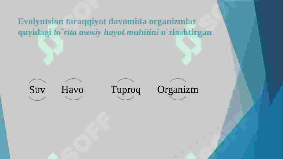 Muhit va ekologik omillar 3