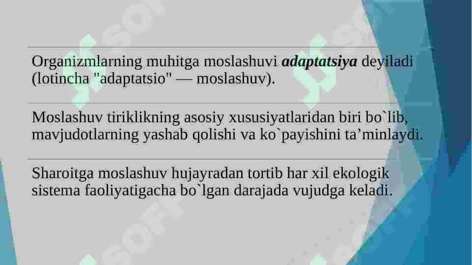 Muhit va ekologik omillar 4