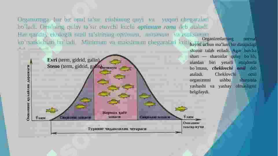 Muhit va ekologik omillar 6