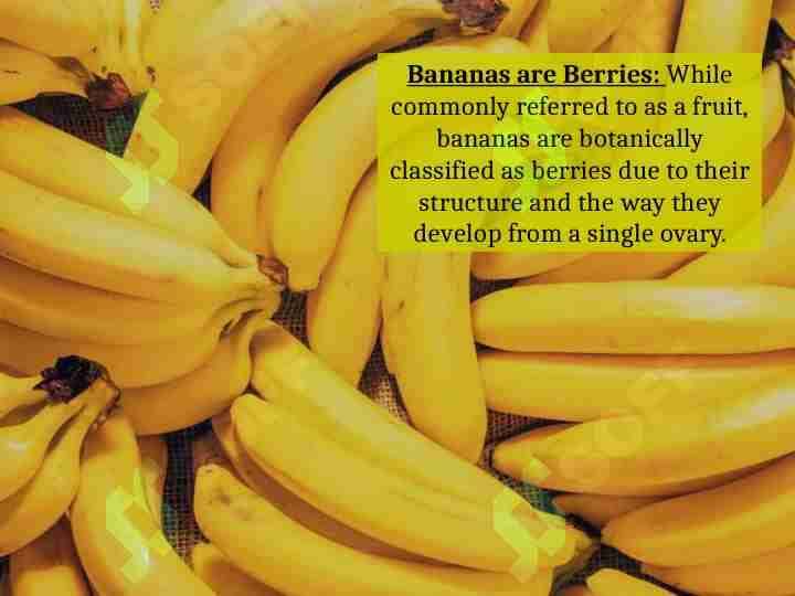 interesting facts