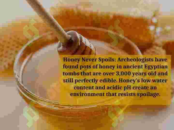 interesting facts 3
