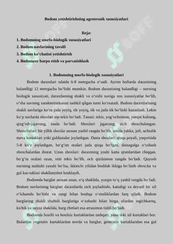 Bodom yetishtirishning agrotexnik xususiyatlari