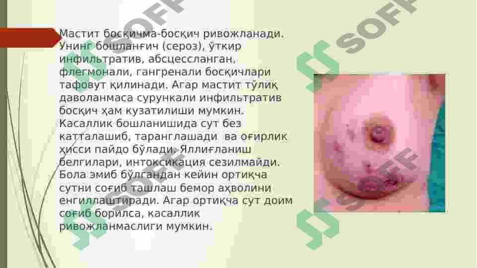Jinsiy siklining gormonal boshqarilishi 2