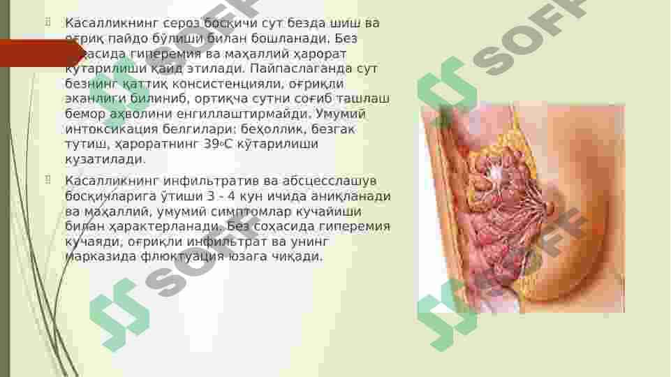Jinsiy siklining gormonal boshqarilishi 3