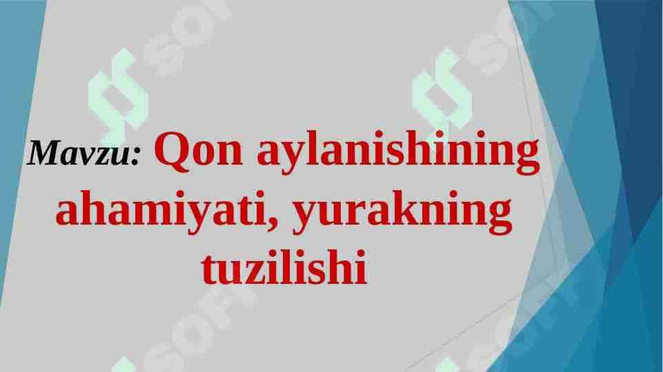 qon aylanish