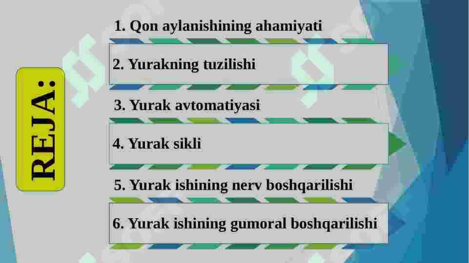 qon aylanish 2