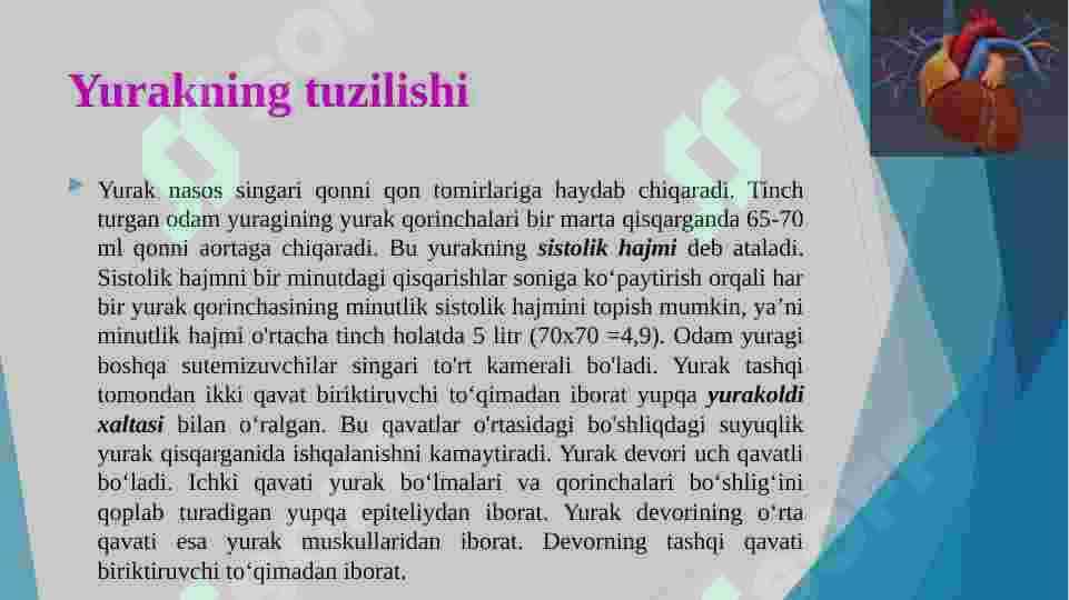 qon aylanish 6