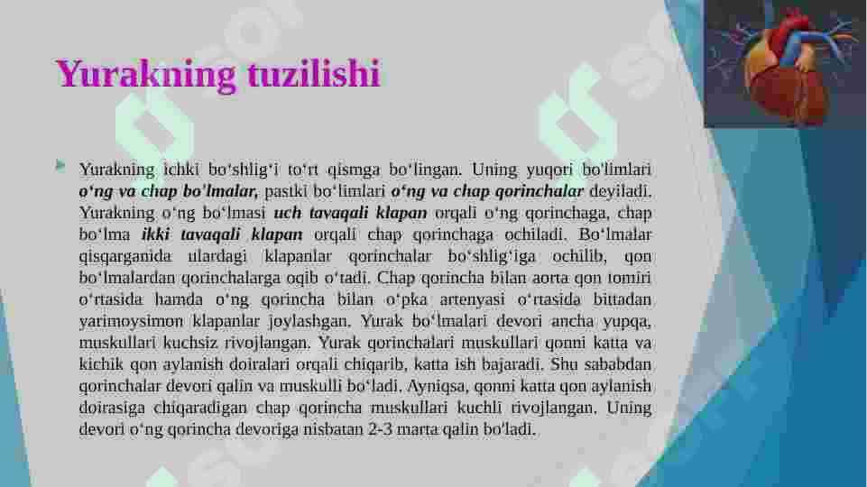 qon aylanish 7