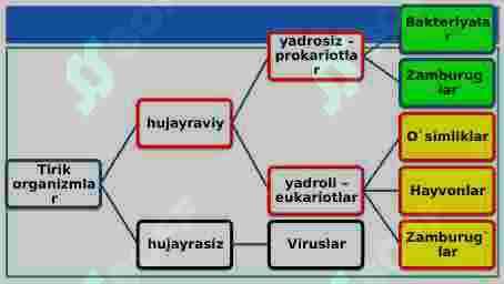 Hayotning hujayrasiz shakllari. Viruslar 2
