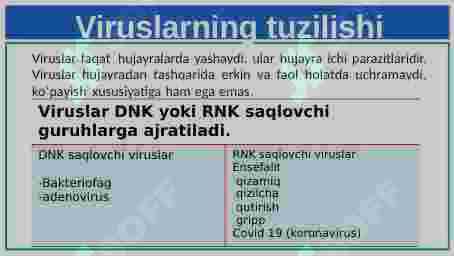 Hayotning hujayrasiz shakllari. Viruslar 4